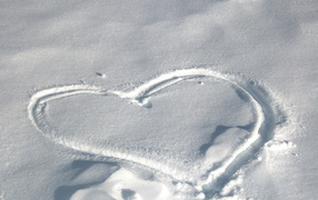 След на снегу