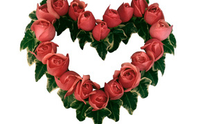 Сердце из роз