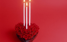 Красные розы в День Святого Валентина