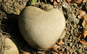 Каменное сердце