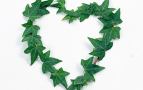 Сердце из листьев