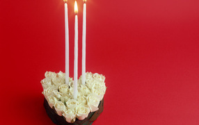 Белые розы в День Святого Валентина