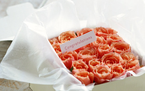 Анонимный подарок в День Св. Валентина