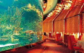 Aquarium in restaurant