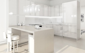 Snow-white kitchen