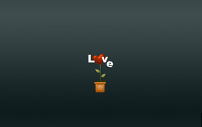 Цветок любви