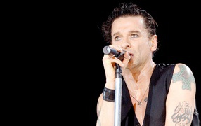 Дэвид Гаан (David Gahan)