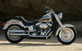 Beautiful Harley Davidson