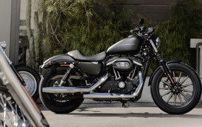 Харлей Девидсон 883