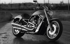 Harley Davidson  V-Rod