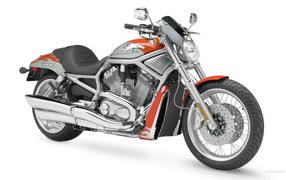 Harley Davidson biker style