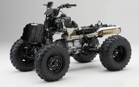 Внутренности Honda квадроцикл
