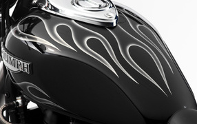 Аэрография на бензобаке