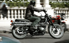 Триумф Скрамблер