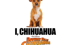 Крошка из Беверли-Хиллз / Beverly Hills Chihuahua