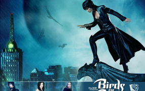 Birds of pray Птицы гордости