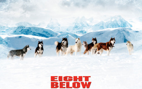 Белый плен / Eight Below