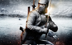 Бросок кобры