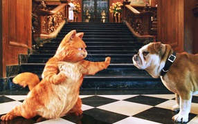  Гарфилд / Garfield