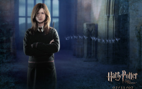 Гарри Поттер и орден Феникса / Harry Potter and Order of Phoenix