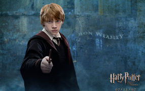 Гарри Поттер и орден Феникса / Harry Potter and Order of Phoenix