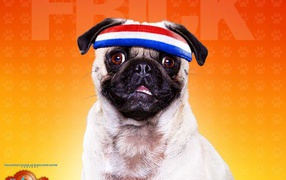 Отель для собак / Hotel for Dogs 2009