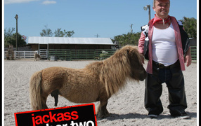 Чудаки 2 / Jackass 2
