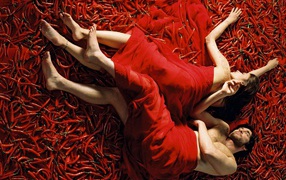 Принцесса специй / Mistress of Spices