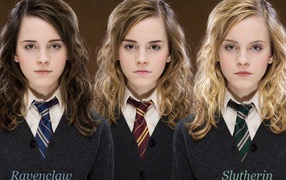 Гарри Поттер, девушки разных факультетов Хогвартс