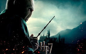 Гарри Поттер и Дары смерти