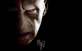  Гарри Поттер и Дары смерти, Волан де Морт