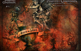 Пираты Карибского моря 2011