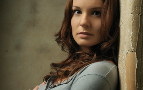 Prison Break обои