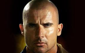 Побег из Тюрьмы 4 сезон / Prison Break 4 season