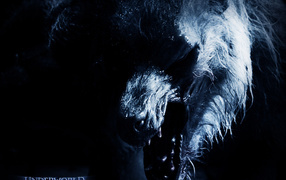 Другой мир II: Эволюция / Underworld: Evolution