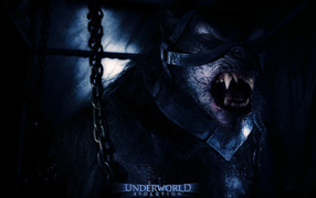 Другой мир II: Эволюция / Underworld: Evolution