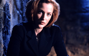 Секретные материалы / X-Files