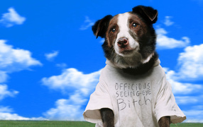 Свет вокруг / Everything Is Illuminated