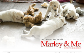 Марли и я / Marley & Me фильм