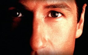 Секретные материалы / X-Files