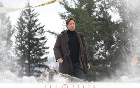 Секретные Материалы / X files