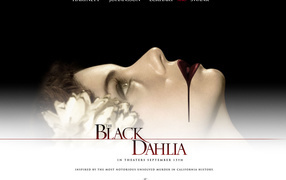 Черный Георгин /  Black Dahlia