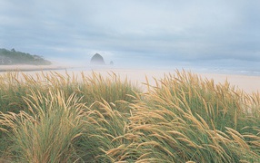 На берегу моря