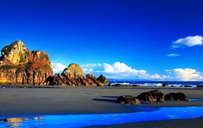 Яркие краски побережья