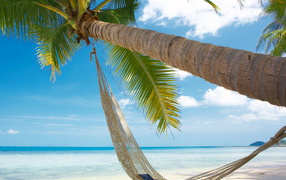 Гамак на берегу океана