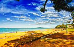 В тени деревьев