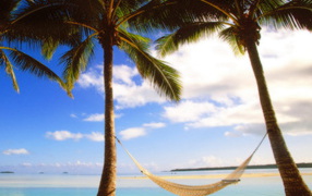 Пальмы на берегу