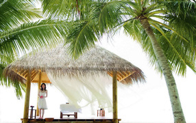 Беседка под пальмой