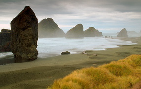 Морское побережье