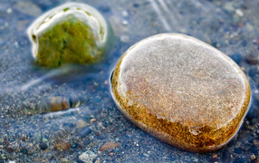 Гладкий камень